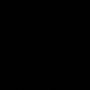 Meet your Posher, Aracely